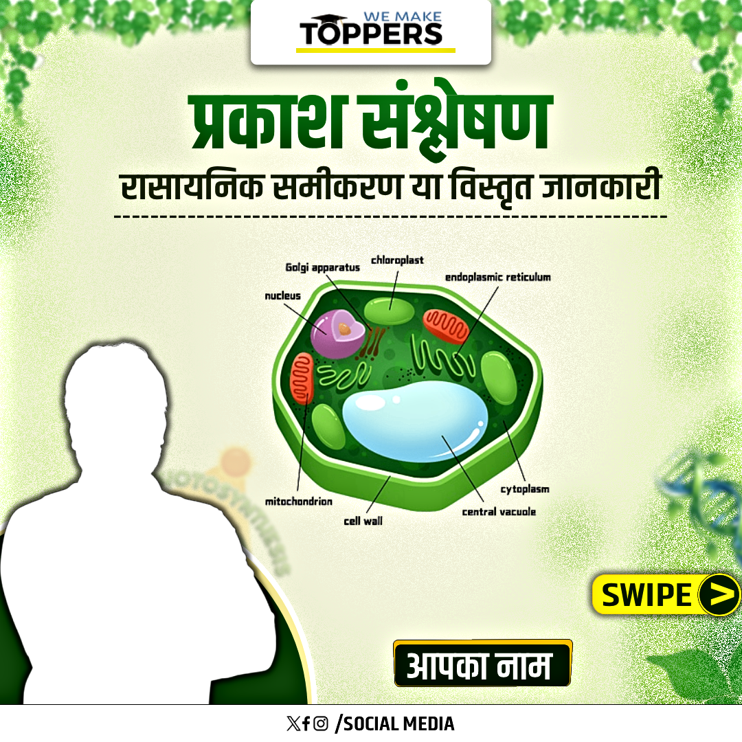 ✨ प्रकाश संश्लेषण Post Design