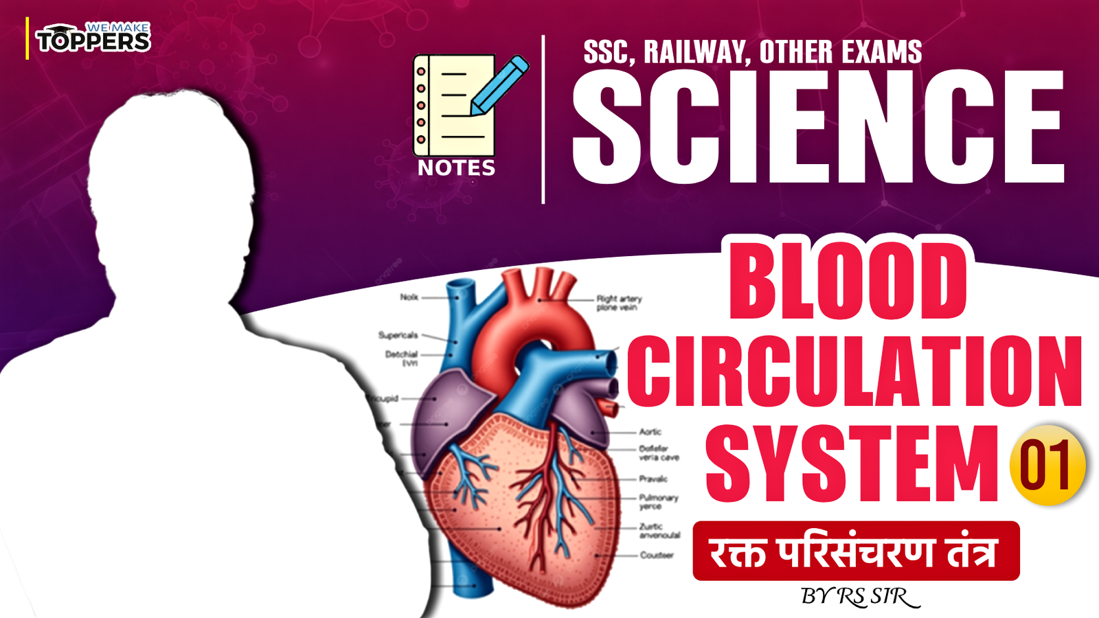 🫀Blood Circulation